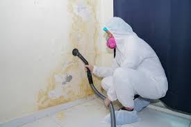 Adel, GA Mold Inspection Company